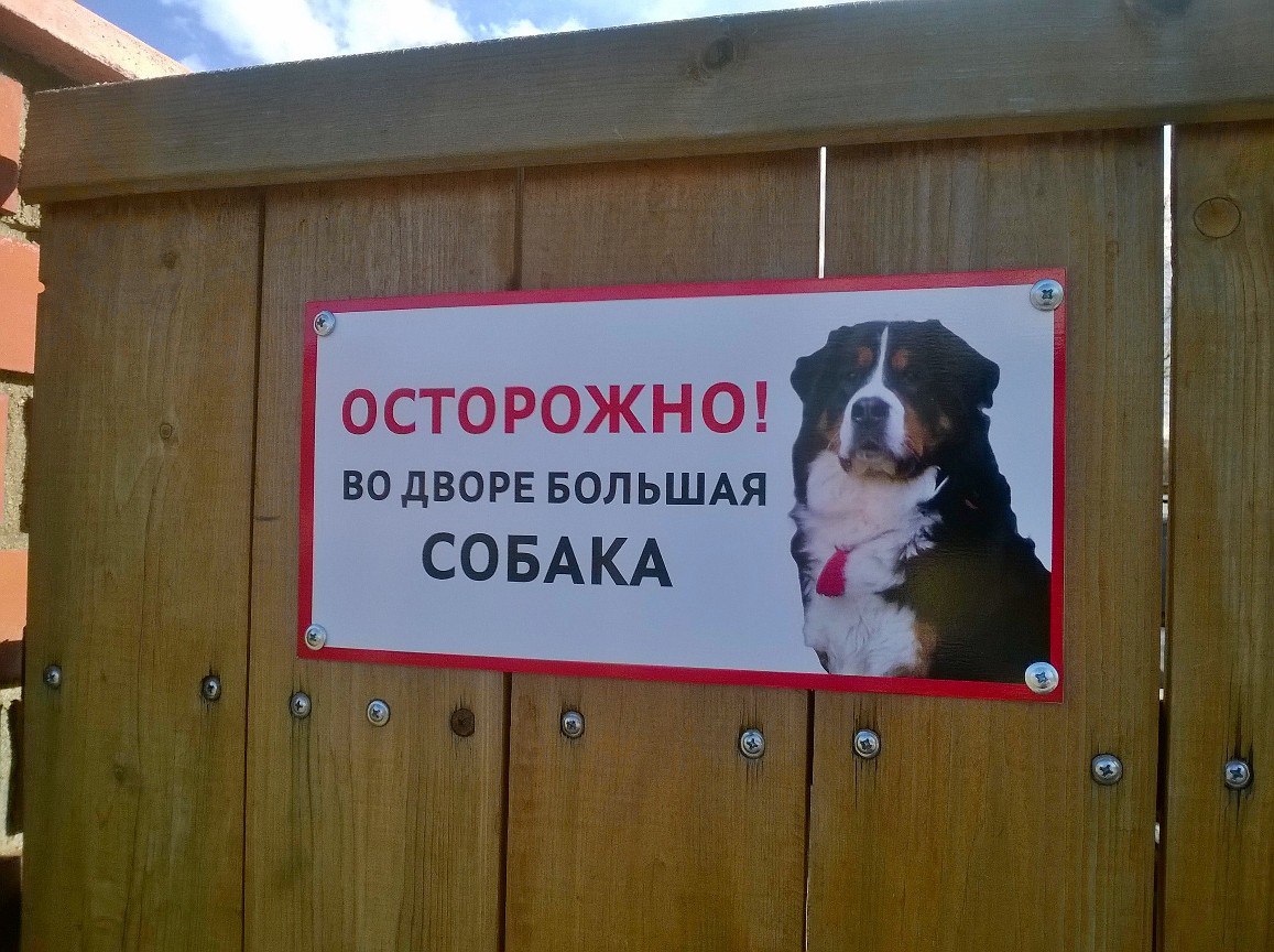 Вывески во дворе. Осторожно злая собака Московская сторожевая. Табличка "злая собака". Осторожно собака табличка. Табличка осторожно злая собака.